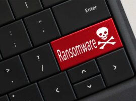 We Found The Cure For Ransomware. The Dutch Government Ignored Us.